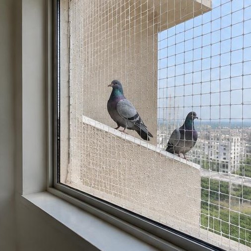 Anti-bird mesh across an apartment window recess with pigeons outside