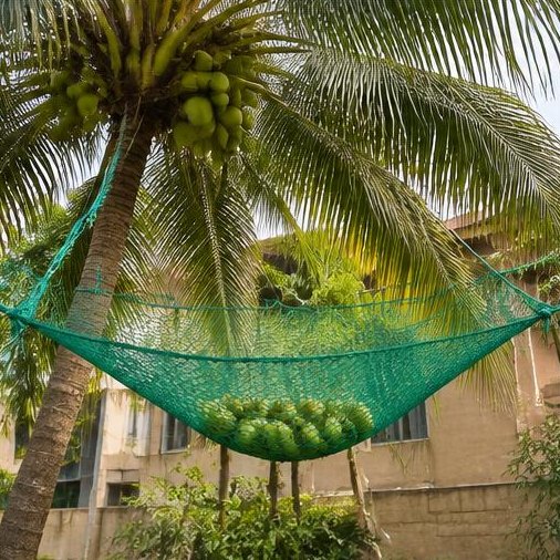 Green catching net suspended beneath coconuts on a palm tree